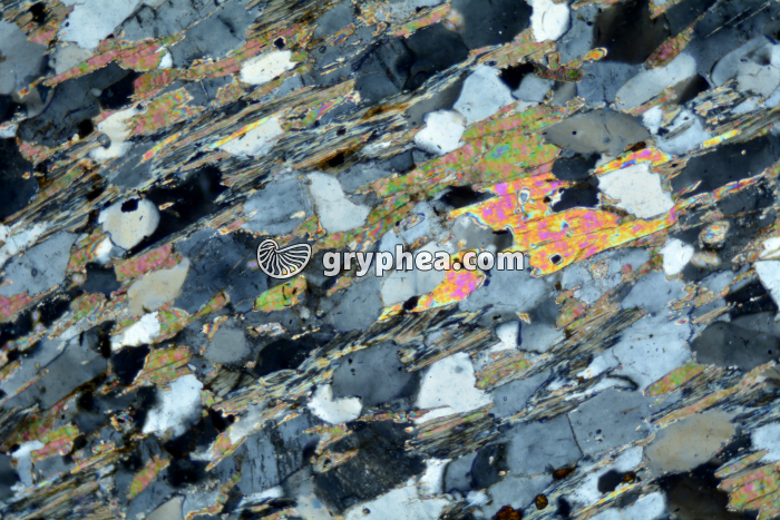 Micaschiste à sillimanite LPA x25 - gryphea.org